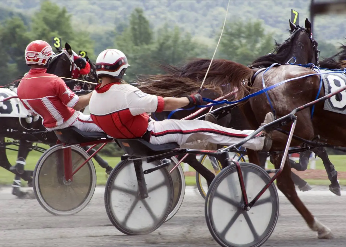 Harness racing with jockeys and horses competing.